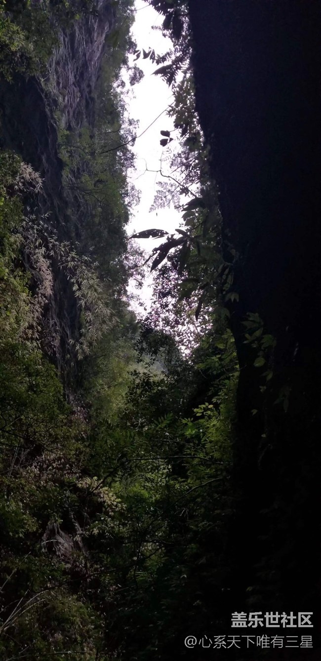 【山野之間】武隆天坑地縫之自然奇觀