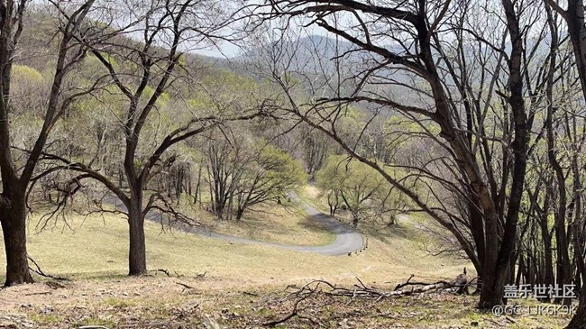 哈爾濱星部落平山鹿苑攝影行