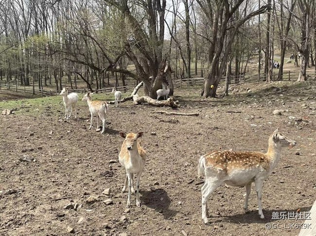 哈爾濱星部落平山鹿苑攝影行