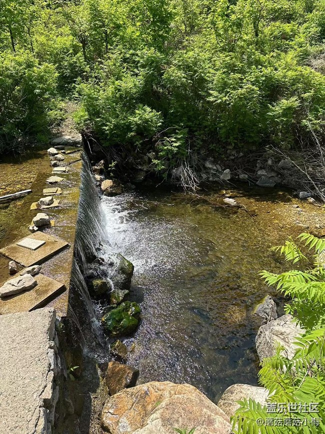 【沈陽星部落】初夏，遼陽核伙溝踏青游玩~