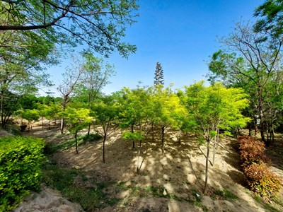 鄭州樹木園一日游