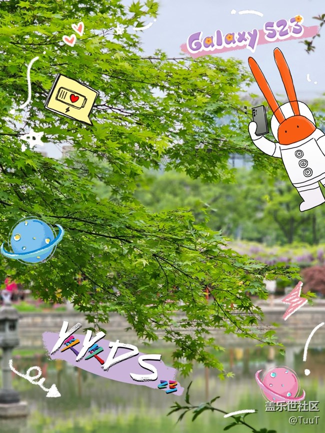 【mission兔打卡】+遇見紫藤