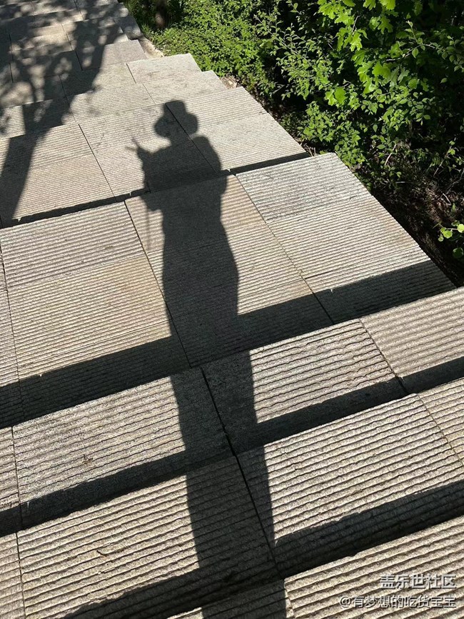 【與青春撞個滿懷】與春天有個約會