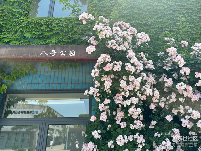 【五一游玩記】8號公園，一個被遺忘的小眾景點