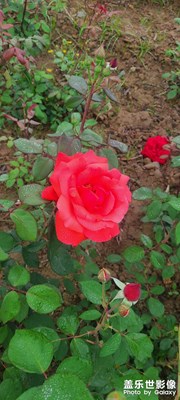 繼續(xù)吧