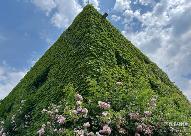 【五一游玩記】8號公園，一個被遺忘的小眾景點