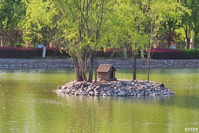 【初夏】+公园的风景