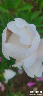 圖片儲(chǔ)存器