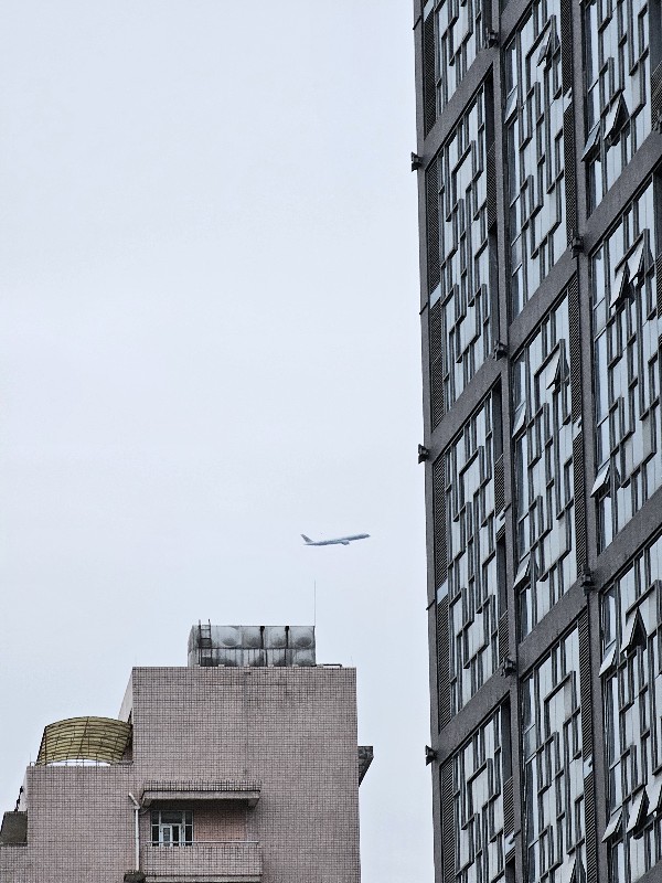 2億看中國(guó)，成都城市體驗(yàn)官來(lái)報(bào)道了！