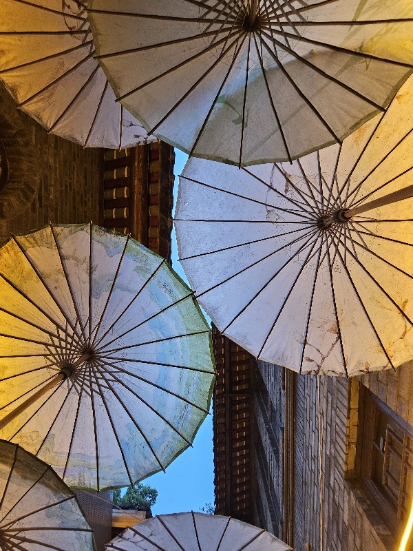 2億看中國(guó)，成都城市體驗(yàn)官來(lái)報(bào)道了！