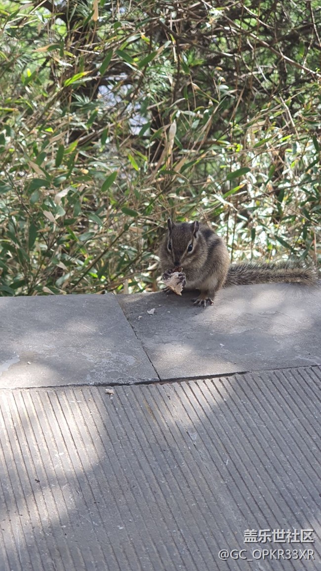 朱雀公園