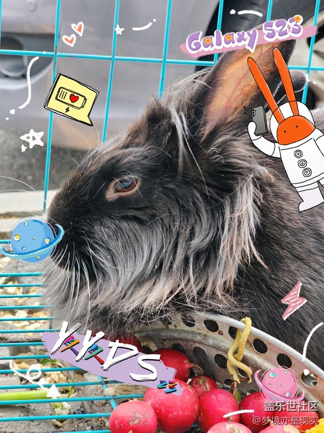 【mission兔】mission兔與兔-小小創(chuàng)意