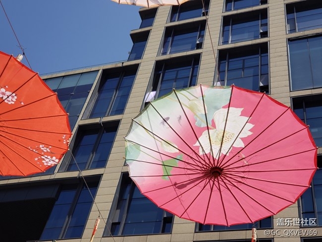 【身邊的建筑】+花傘與建筑