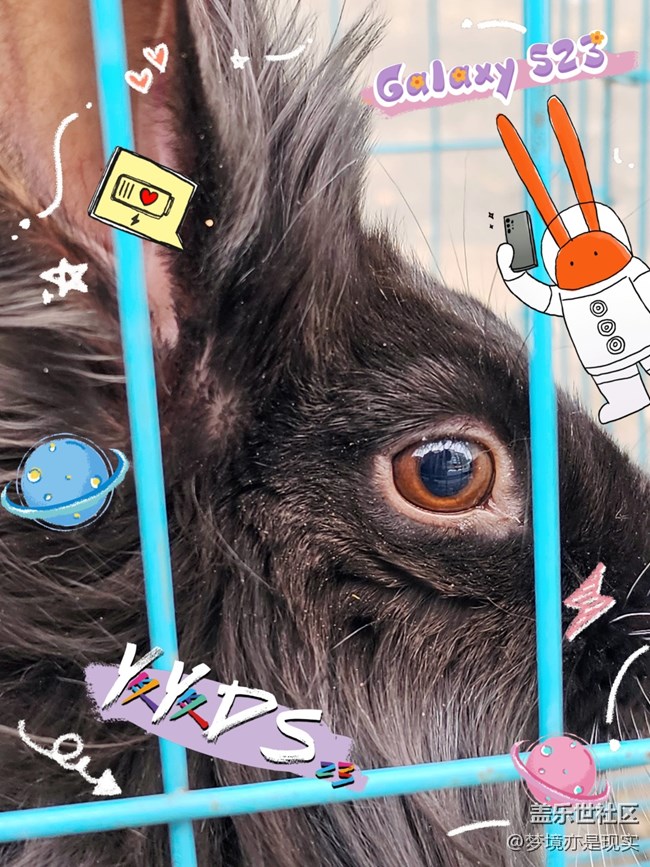 【mission兔】mission兔與兔-小小創(chuàng)意