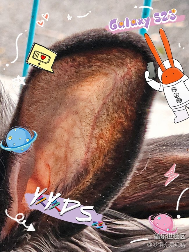 【mission兔】mission兔與兔-小小創(chuàng)意