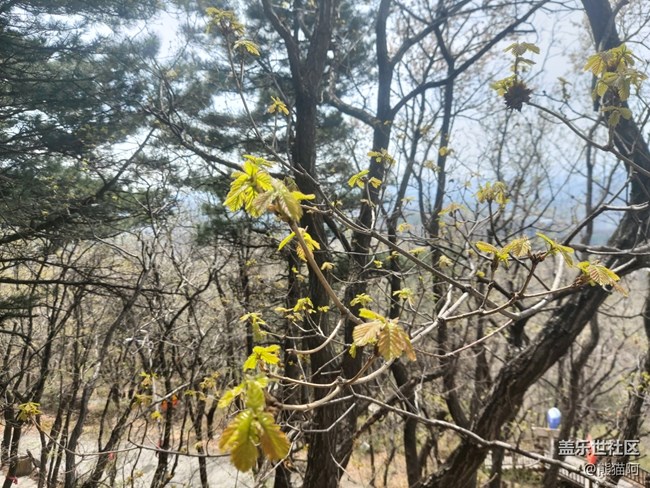 【品美食走山河】翻山越嶺