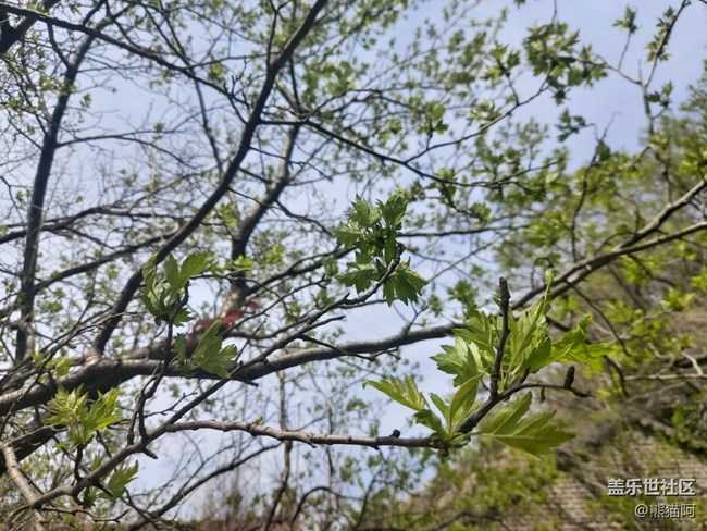 【品美食走山河】翻山越嶺