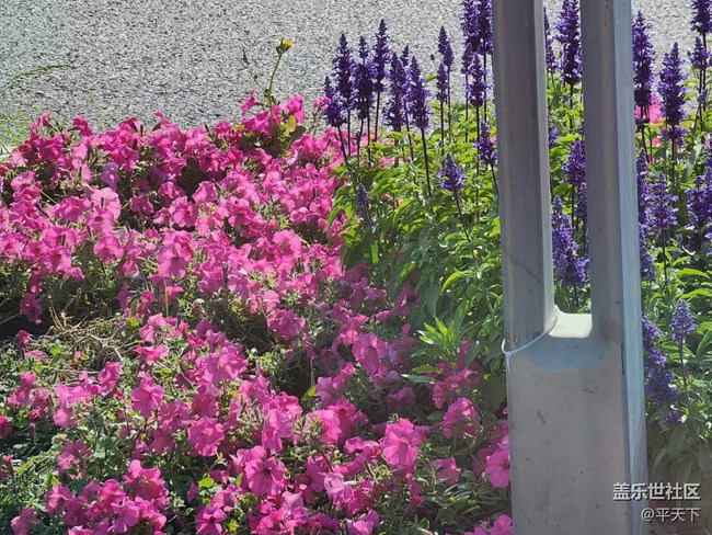 【初夏味道】萬(wàn)物充滿生機(jī)