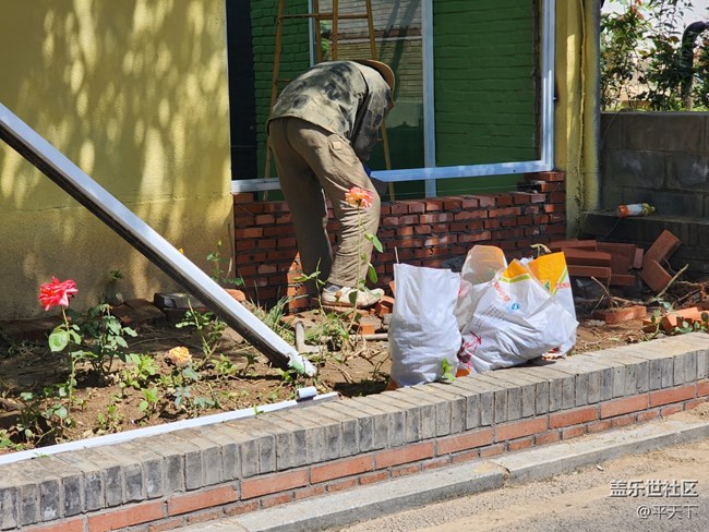 【打工人，520】勞動最光榮