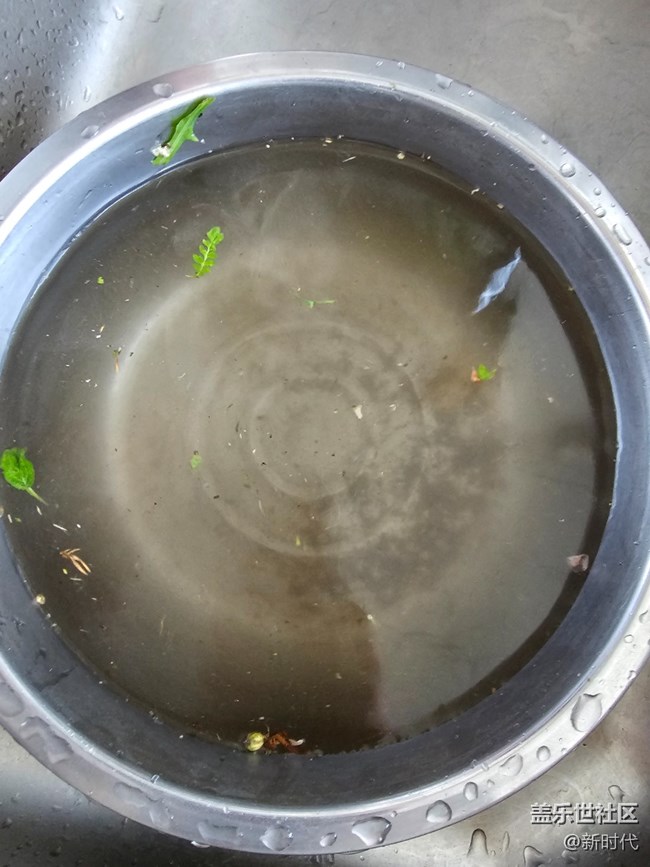 【與青春撞個(gè)滿懷】野菜