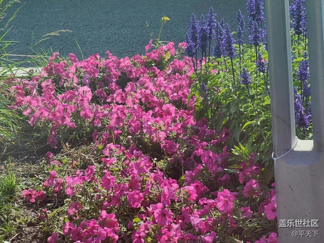 【初夏味道】萬(wàn)物充滿生機(jī)