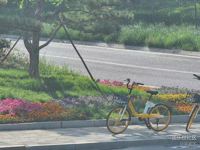 【初夏味道】萬(wàn)物充滿生機(jī)