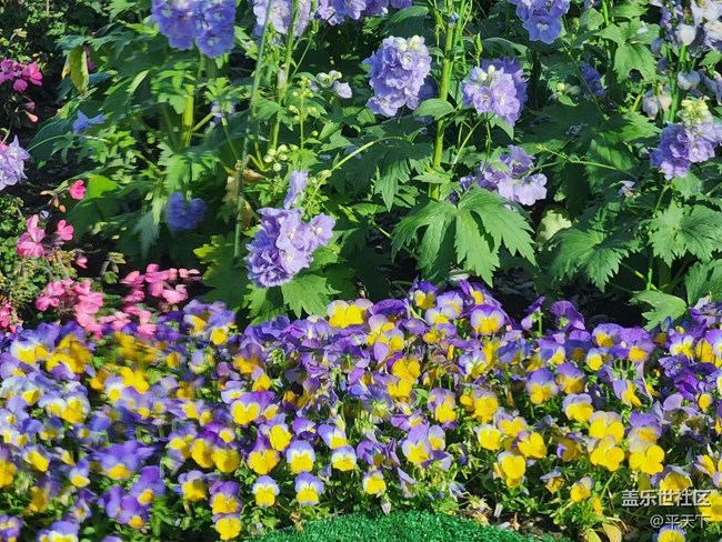 【初夏味道】萬(wàn)物充滿生機(jī)