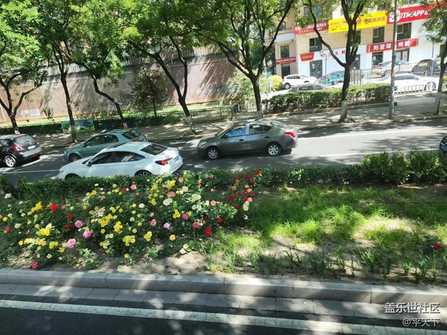 【初夏味道】萬(wàn)物充滿生機(jī)