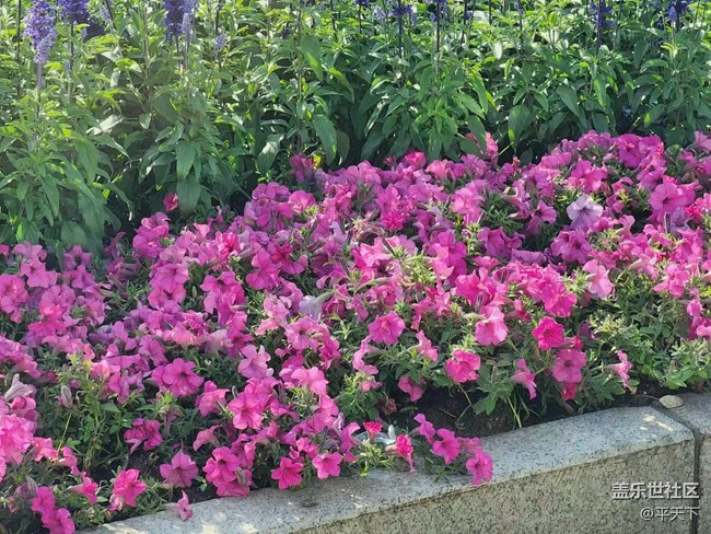 【初夏味道】萬(wàn)物充滿生機(jī)