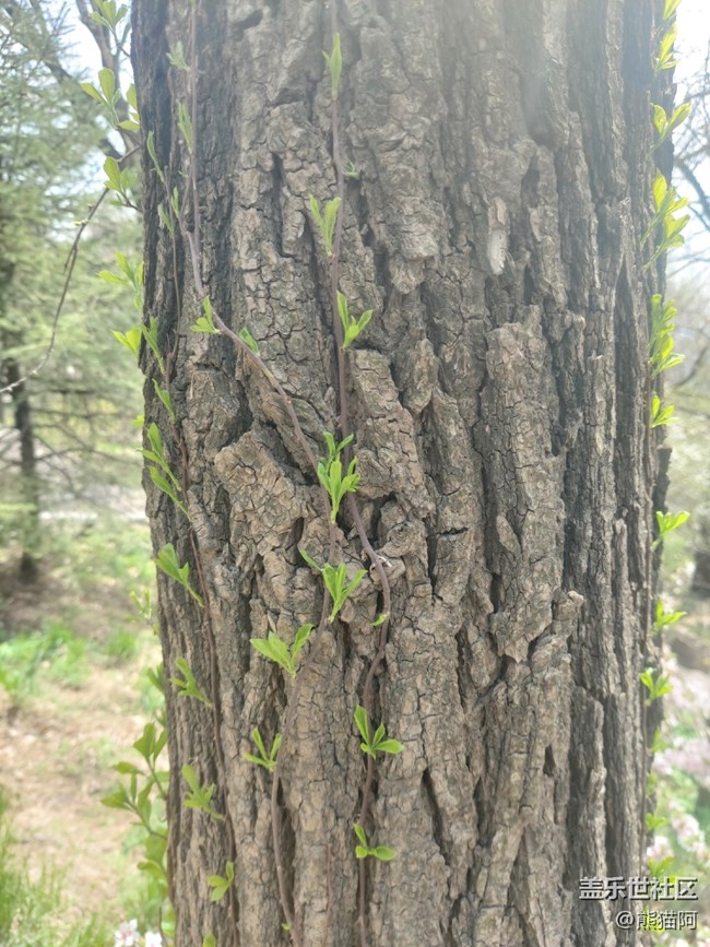 【品美食走山河】翻山越嶺