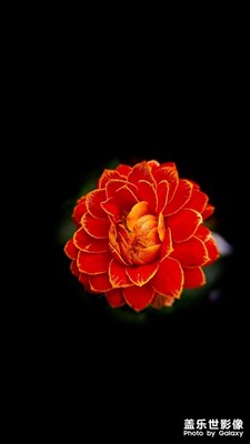 春天花會(huì)開(kāi)