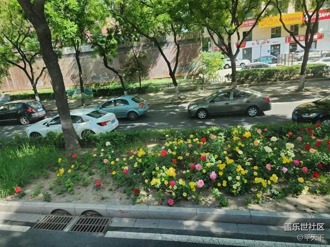 【初夏味道】萬(wàn)物充滿生機(jī)