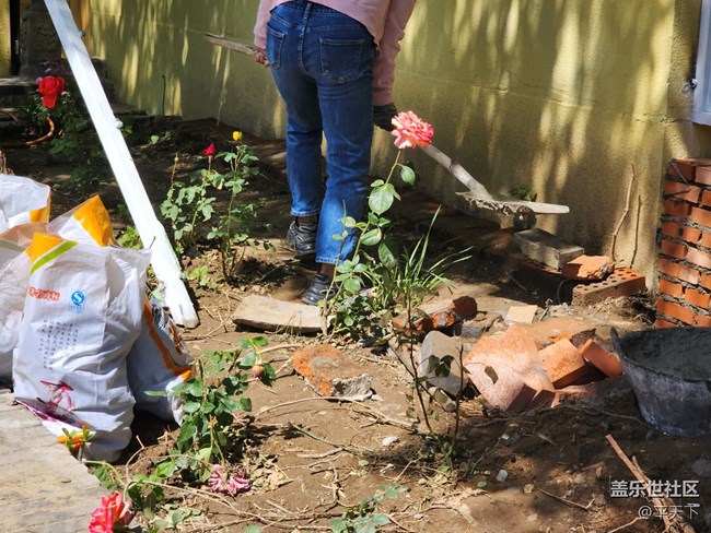 【打工人，520】勞動最光榮