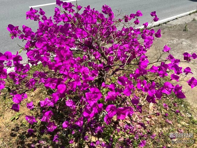 【打工人，520】打工人