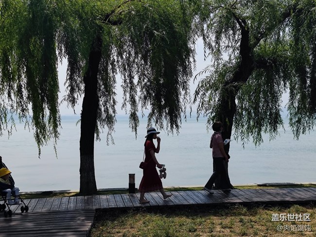 【愛(ài)在武漢】湖邊漫步