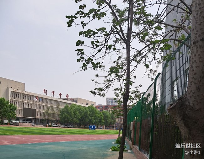 【與青春撞個(gè)滿懷】重返校園