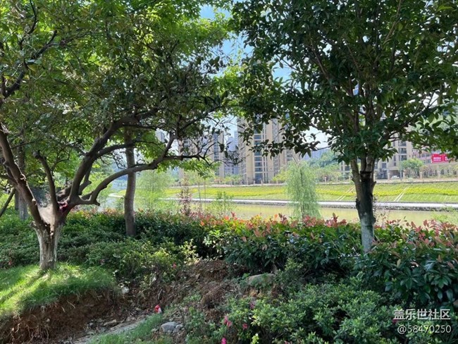 【打工人，520】打工人