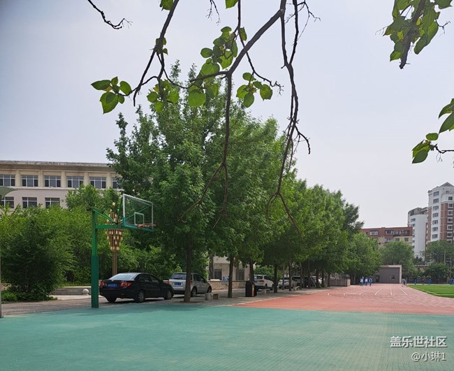 【與青春撞個(gè)滿懷】重返校園