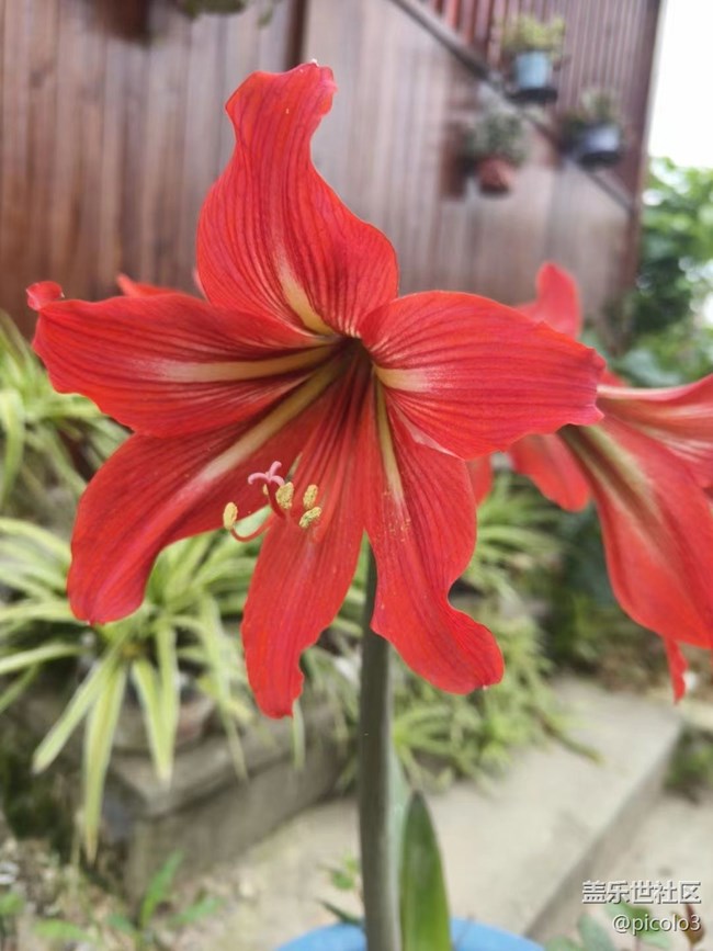 【初夏味道】夏天味道