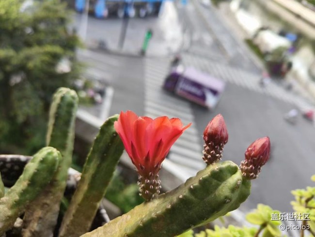 【初夏味道】夏天味道