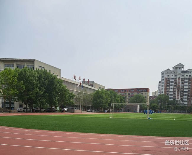 【與青春撞個(gè)滿懷】重返校園