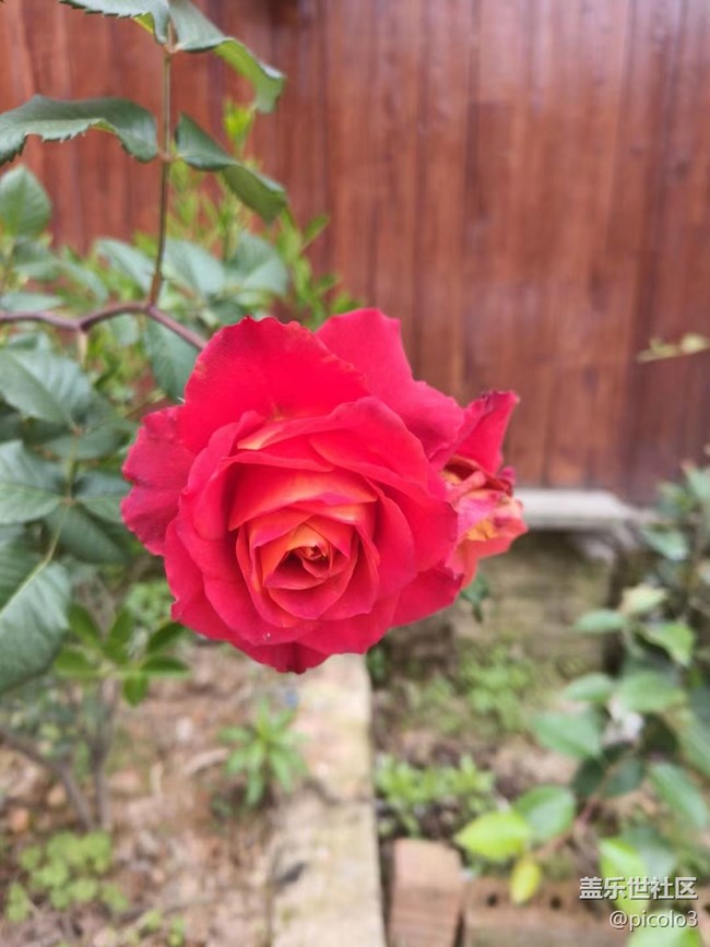 【初夏味道】夏天味道