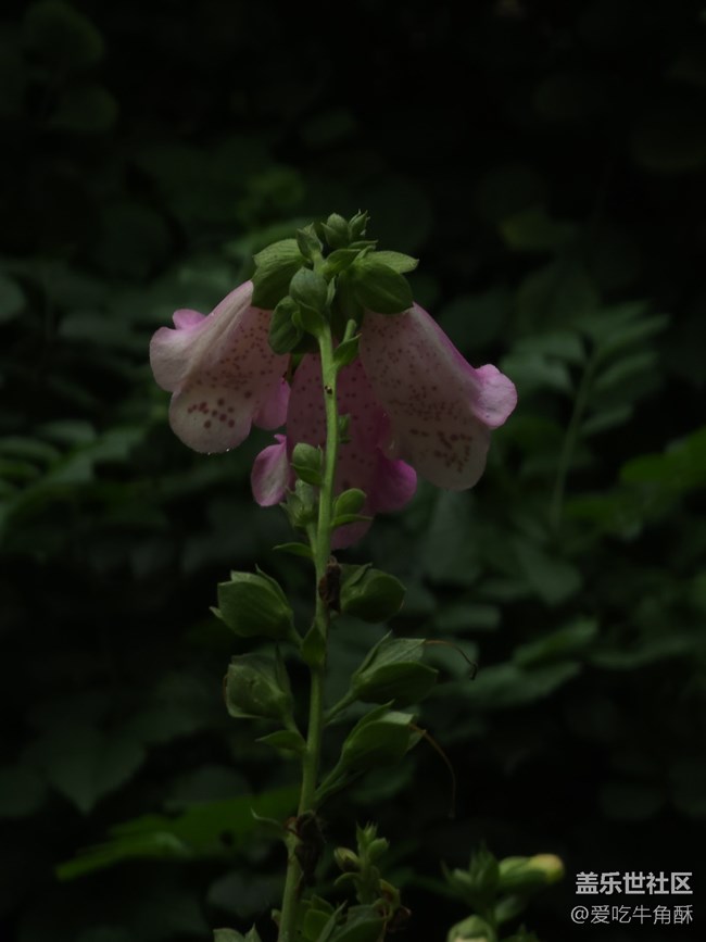 【五一游玩記】逛逛沙面