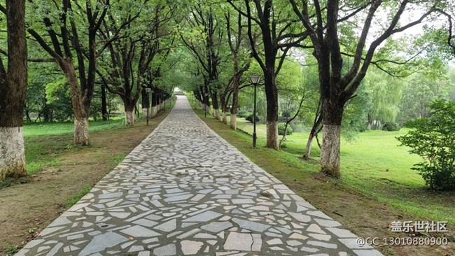 【出游記】自駕游