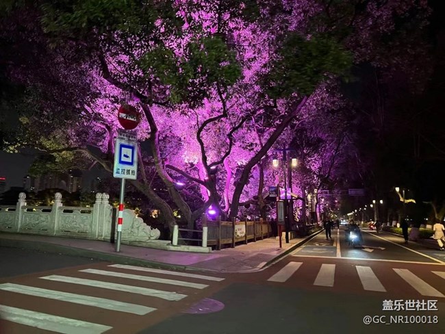 【鏡頭里的美好】夜市