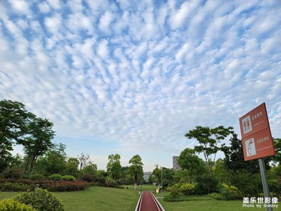 【拍有生活】+下班路上的風景