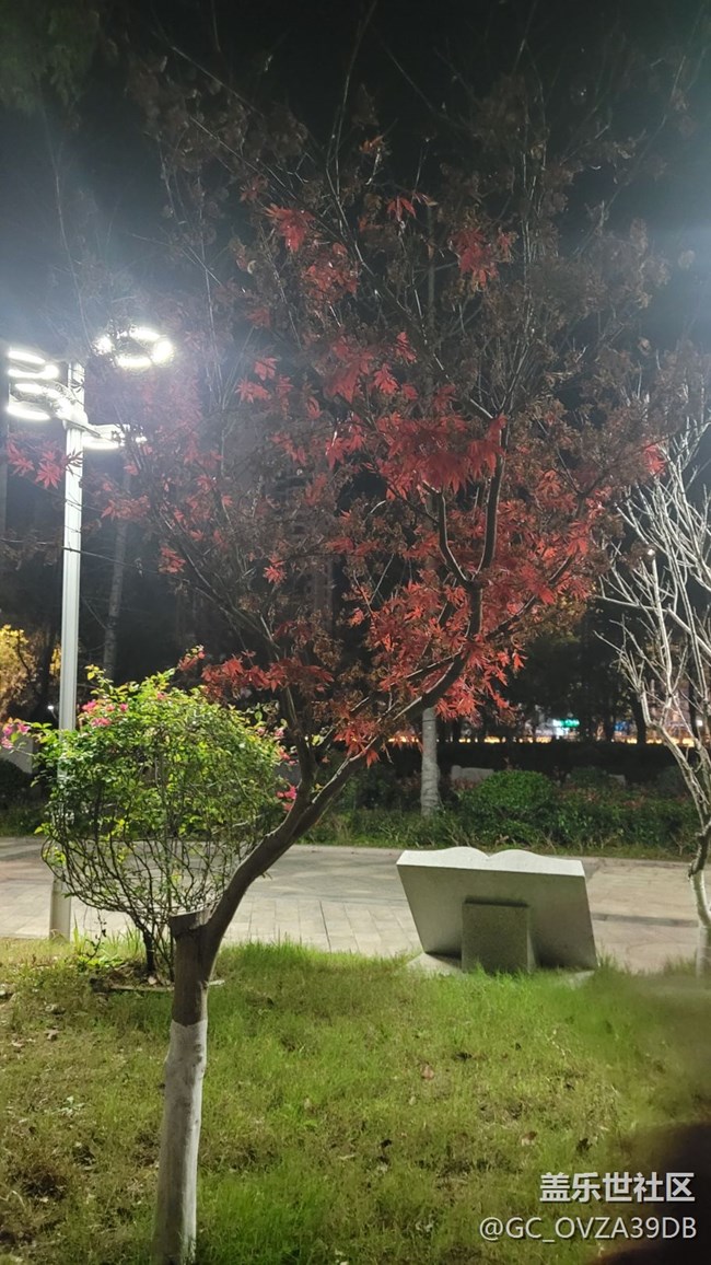 【鏡頭里的美好】公園一角