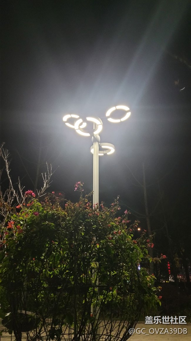 【鏡頭里的美好】公園一角