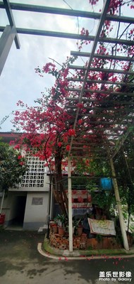 每日一圖