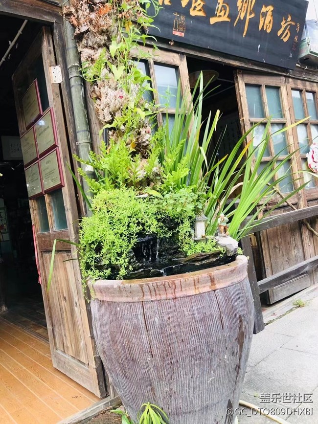 【出游記】旅游